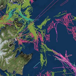 Observed and Unobserved Fishing Lines with AIS and VMS Point Data